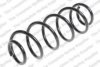 VW 1S0511115AN Coil Spring
